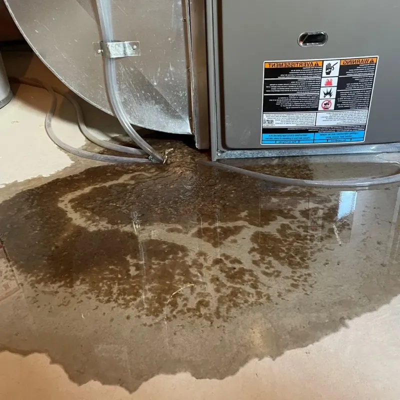 Pipe Burst and Leak Restoration in West Richland, WA